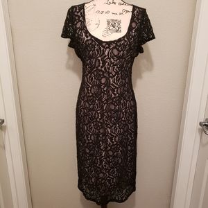 New York & Co Eva Mendes Black Lace Cap Sleeve Scoop Neck Dress Size 12